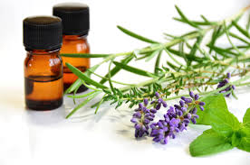 Jual Lavender Oil Jakarta