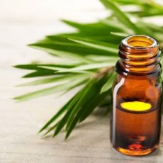 <span class='p-name'>Jual Tea Tree Oil</span>